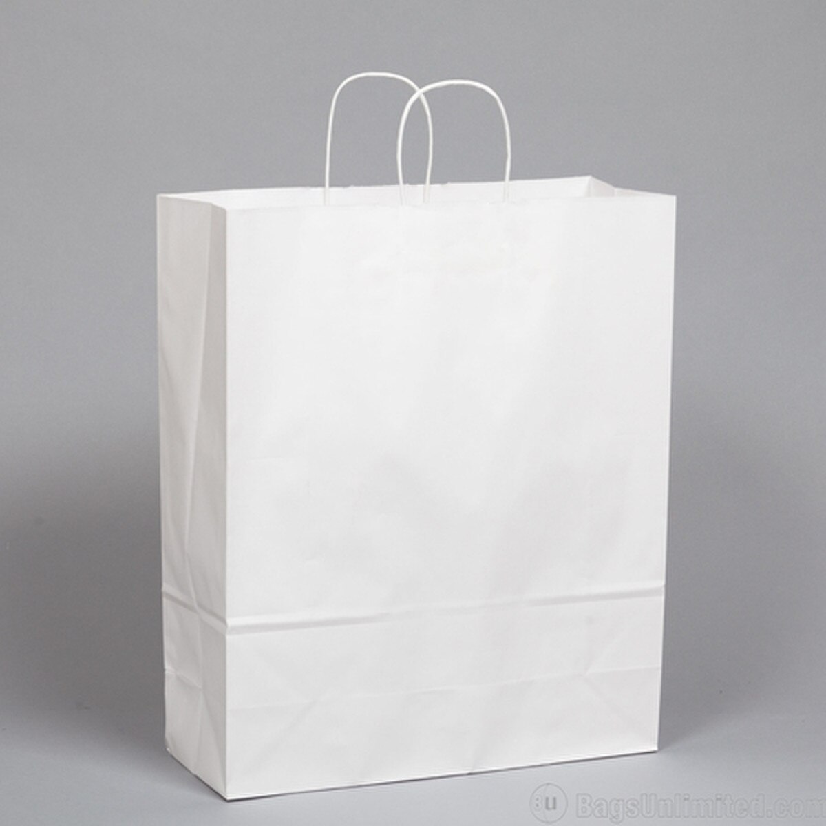 White Kraft Paper Shopping Bags wit
